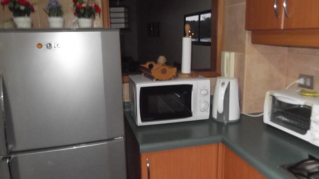 Departamento Duplex Centro Pucon Apartment Ngoại thất bức ảnh