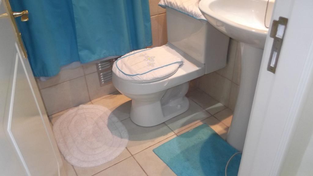 Departamento Duplex Centro Pucon Apartment Ngoại thất bức ảnh