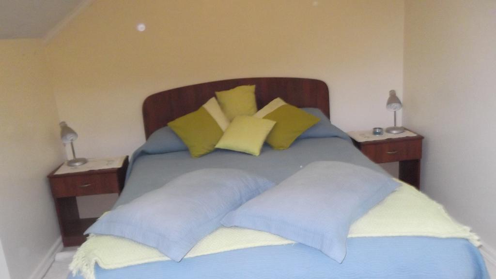 Departamento Duplex Centro Pucon Apartment Ngoại thất bức ảnh