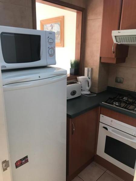Departamento Duplex Centro Pucon Apartment Ngoại thất bức ảnh